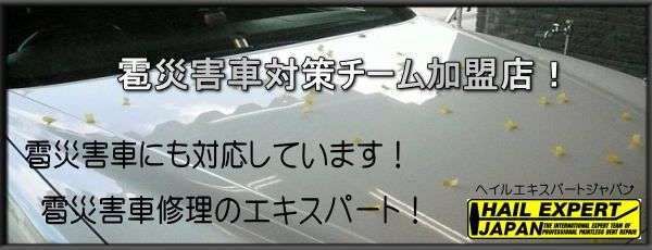 雹害車対策チーム